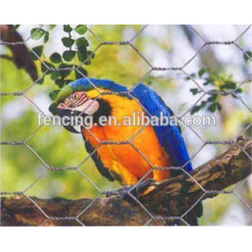 anping hexagonal maille oiseau cage exportation